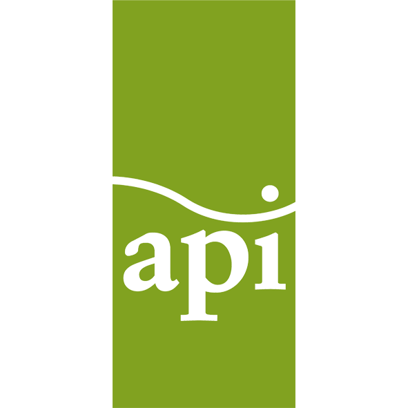 logo_api